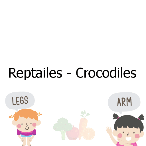 Reptailes - Crocodiles